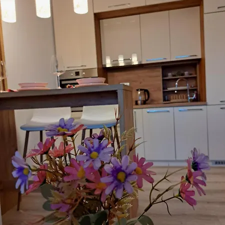 Bross Apartment Ruma